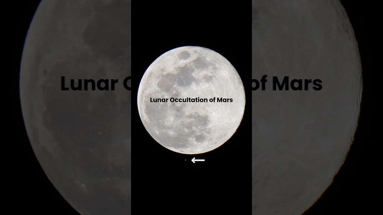 Lunar Occultation of Mars #occultation #moon #space #mars