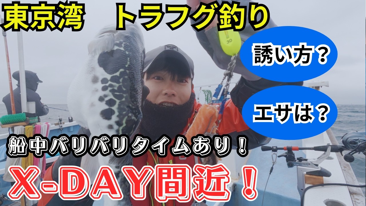 【トラフグ釣り】X -DAY間近釣行！誘い方やエサ何がハマるのか！船中バリバリタイムあり大盛り上がり！（狙える水深も浅くなったよ）