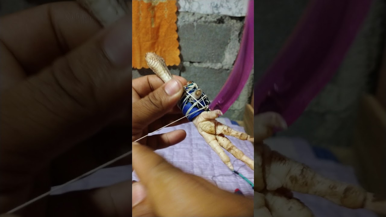 pag tari ng manok(digoy way)