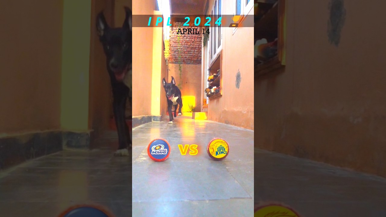 MI VS CSK MATCH PREDICTION | IPL 2024 | MATCH NO.29 | #ipl2024 #predictions#shortvideo#shorts#mi#csk