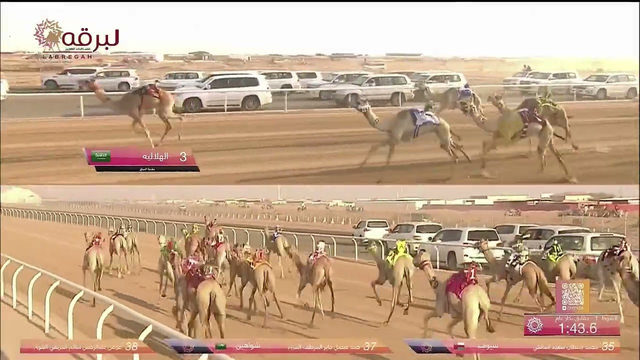 ش1 هند لـ ناجي مسفر صالح أل رزق العجمي (مهرجان ولي العهد بالسعودية 24-8-2022) حقايق بكار 2:58:93