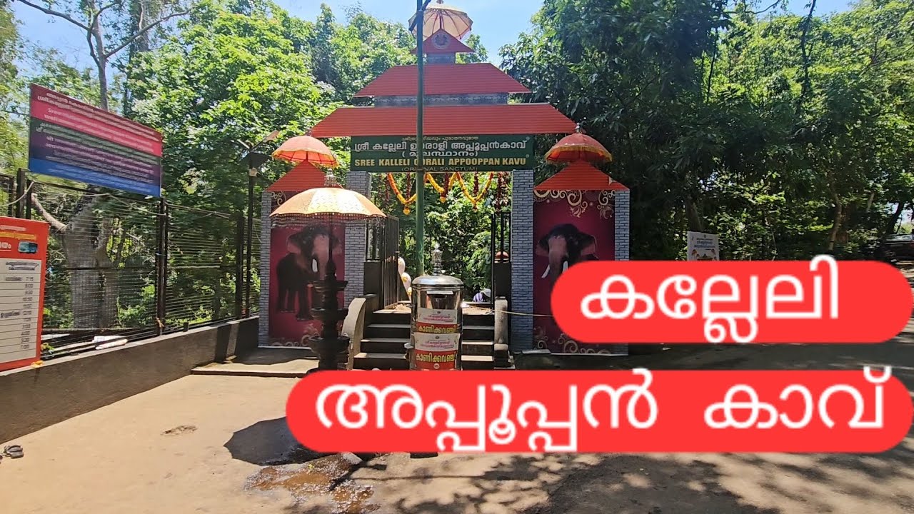 കല്ലേലി അപ്പൂപ്പൻ കാവ്...