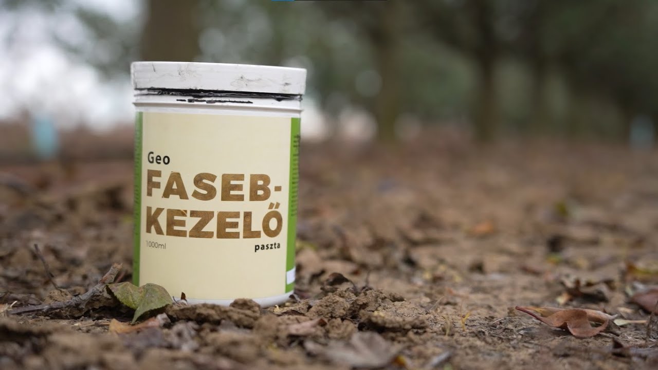 Fák sebkezelése - Miért és hogyan: