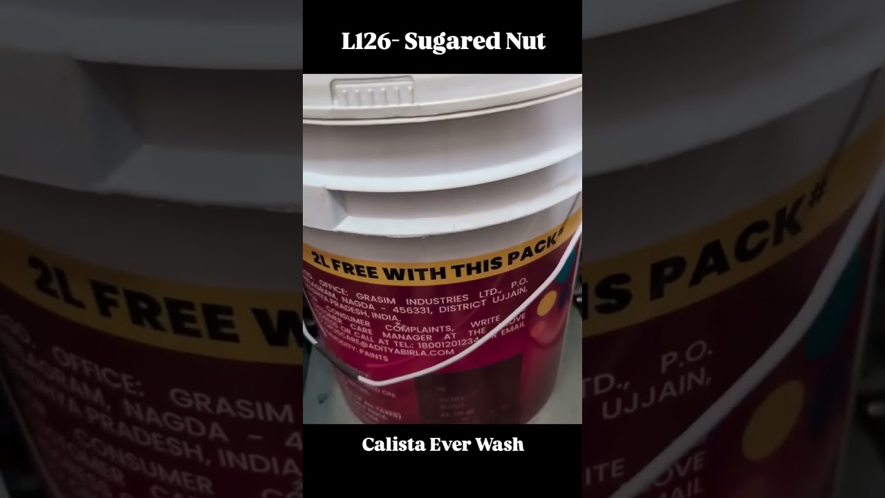 L126  Sugared Nut ( Calista Ever Wash By Birla Opus ) #wallpainting #wallpaintingideas #painting