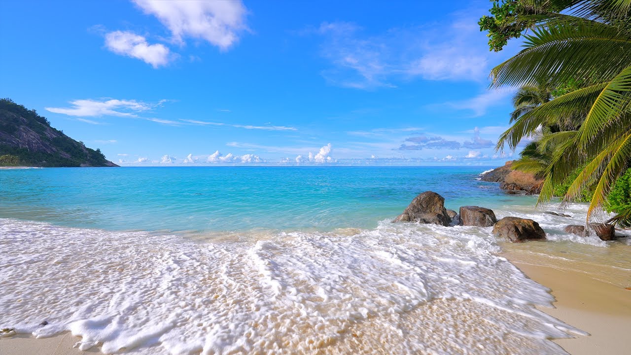 🏝 Paradise Found: Beach and Crystal Turquoise Waters. Ocean 4K Ultra HD