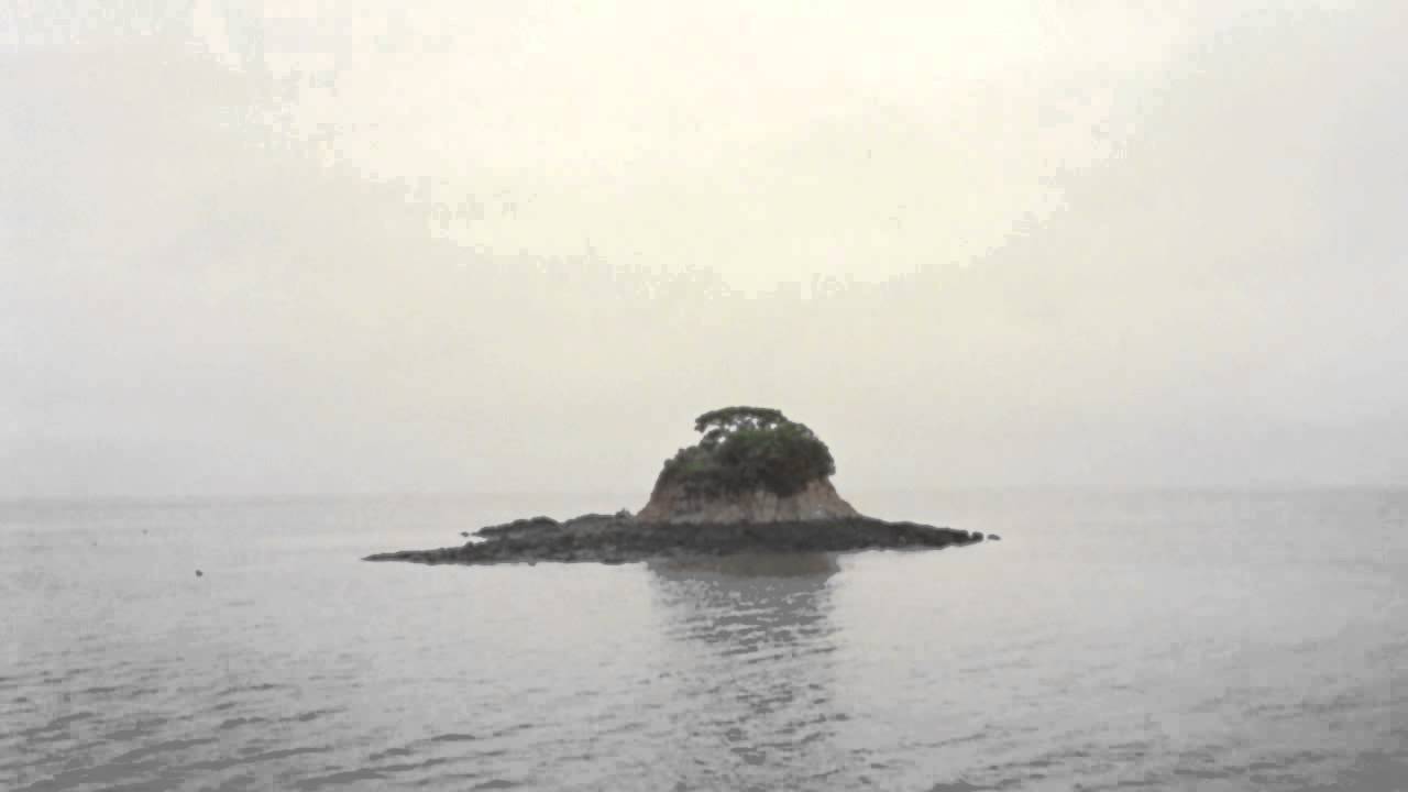 Lovage | Lifeboat