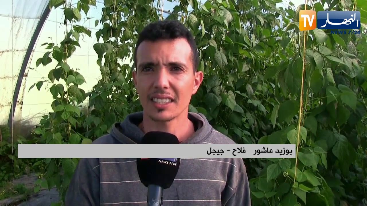 جيجل: من البستان إلى المستهلك ..عمي محمد وأبنائه يحطمون الأسعار