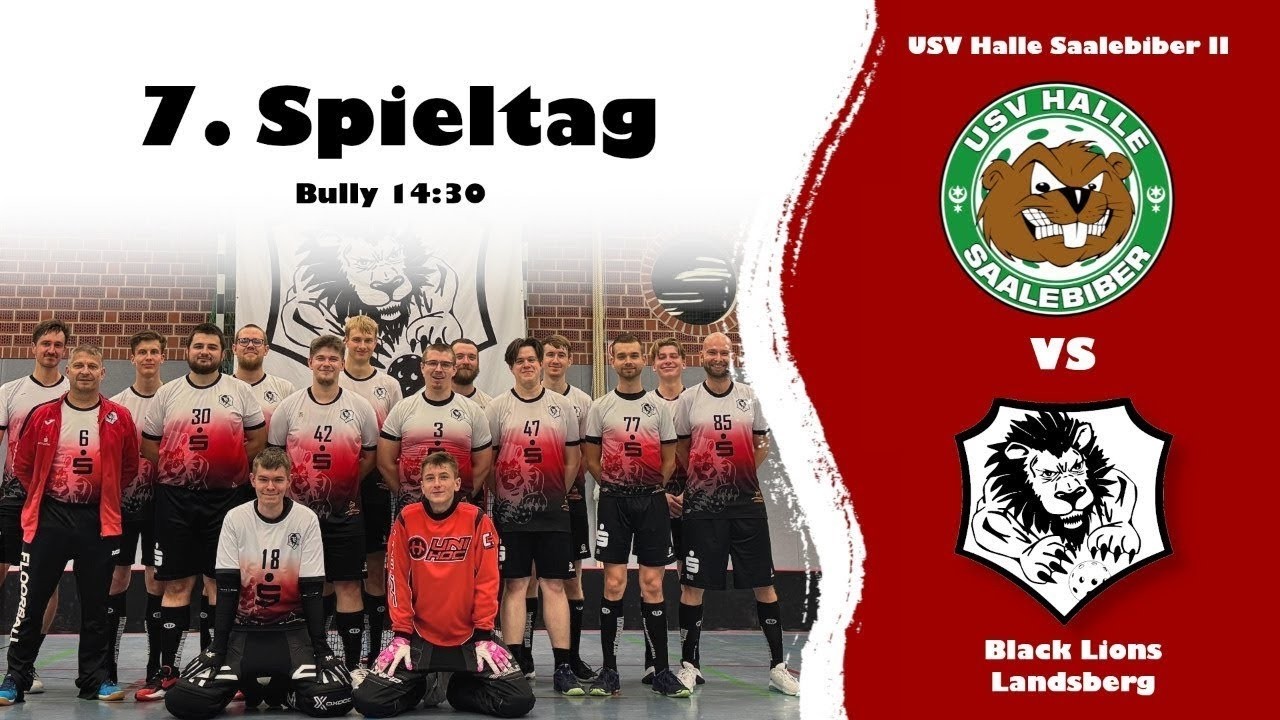 Black Lions Landsberg - Saalebiber Halle | 14. Spieltag