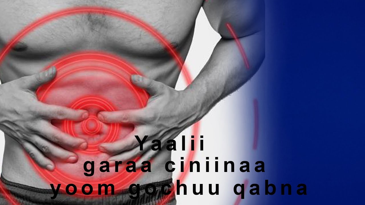 Dhukkuba garaa ciniina yaalamuuf yoom mana yaalaa dhaquu qabna? yoko doctor Dr. daawwit Milkiyaas