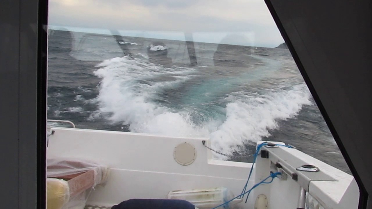 Bayliner 2556 на Байкале