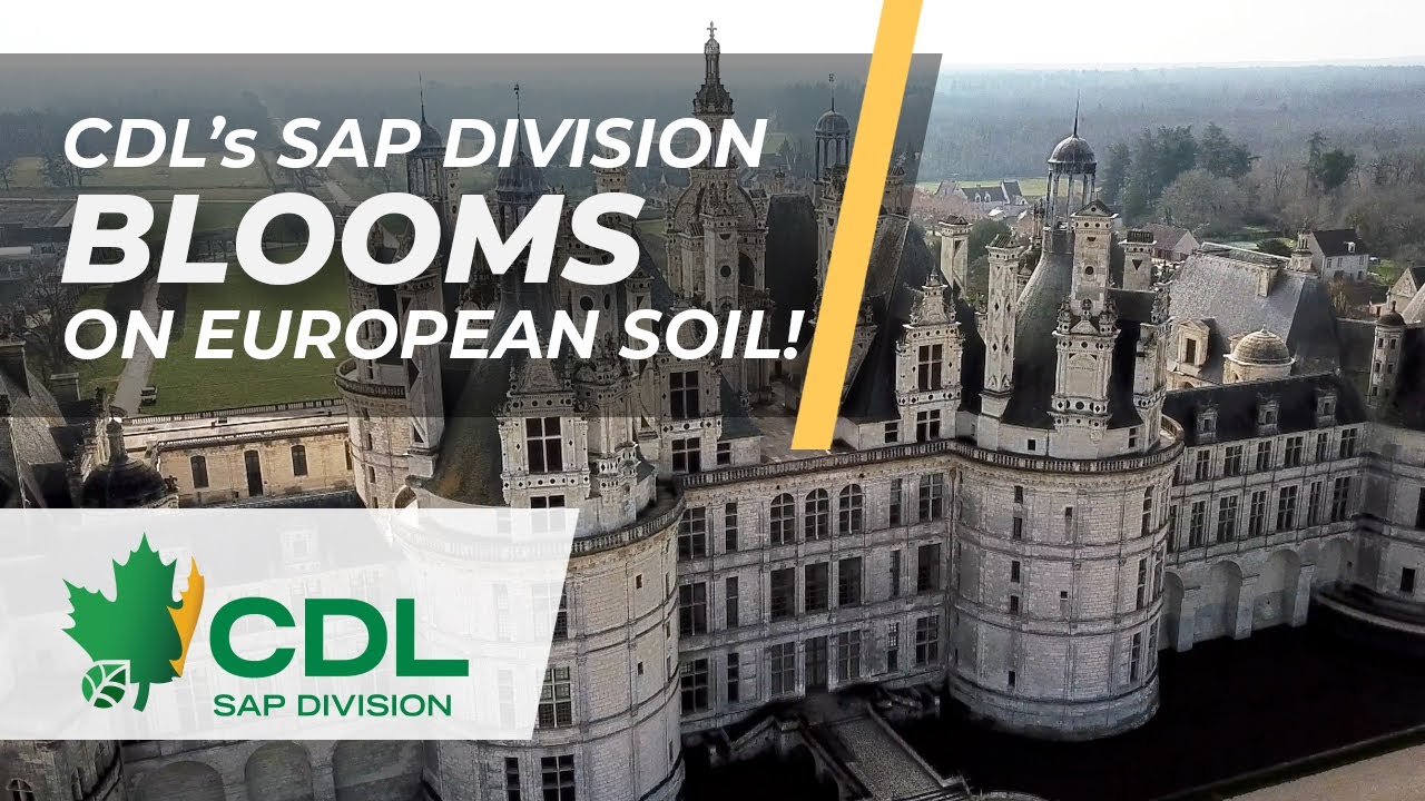 CDL's Sap Division Blooms on European Soil!
