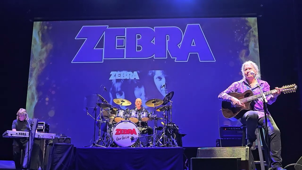 Zebra 