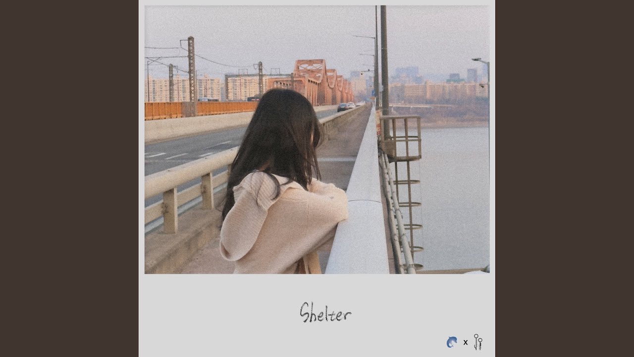 Shelter