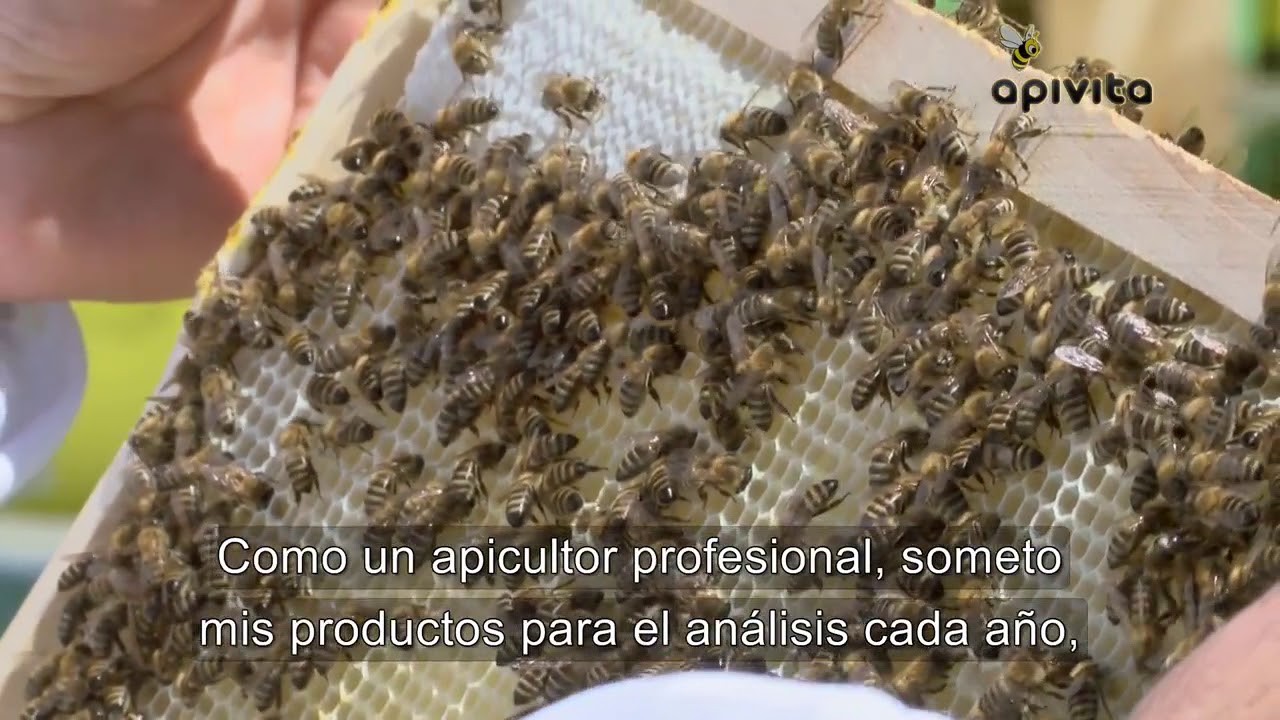 NOZEVIT + - LA IMPORTANCIA DE LAS ABEJAS - Nosema