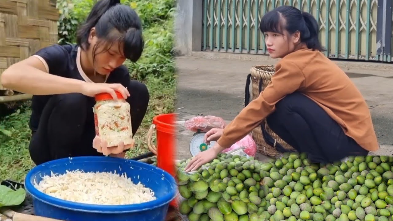 GIRL Power: Harvesting Fresh Fruit to Sell! | Tiểu Liễu-17 year old