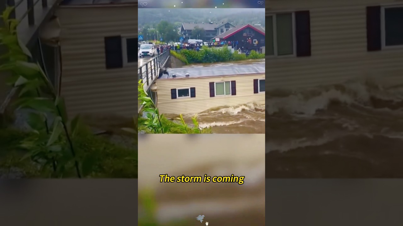 Feel the power of the raging storm #heavyrain #heavyraining #rainsounds #rainrain