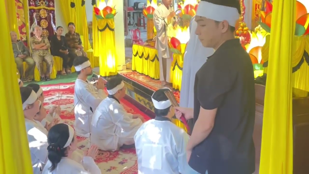 Video mtp4