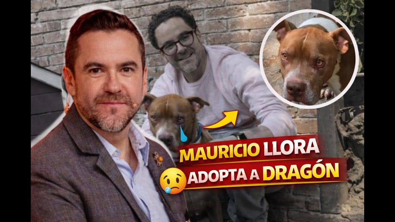 ¡LLORÓ EN VIVO! Mauricio Mancera adopta a Dragón El perro que nadie quería