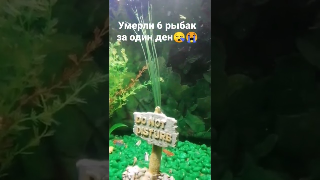 2022. gada 27. jūnijā