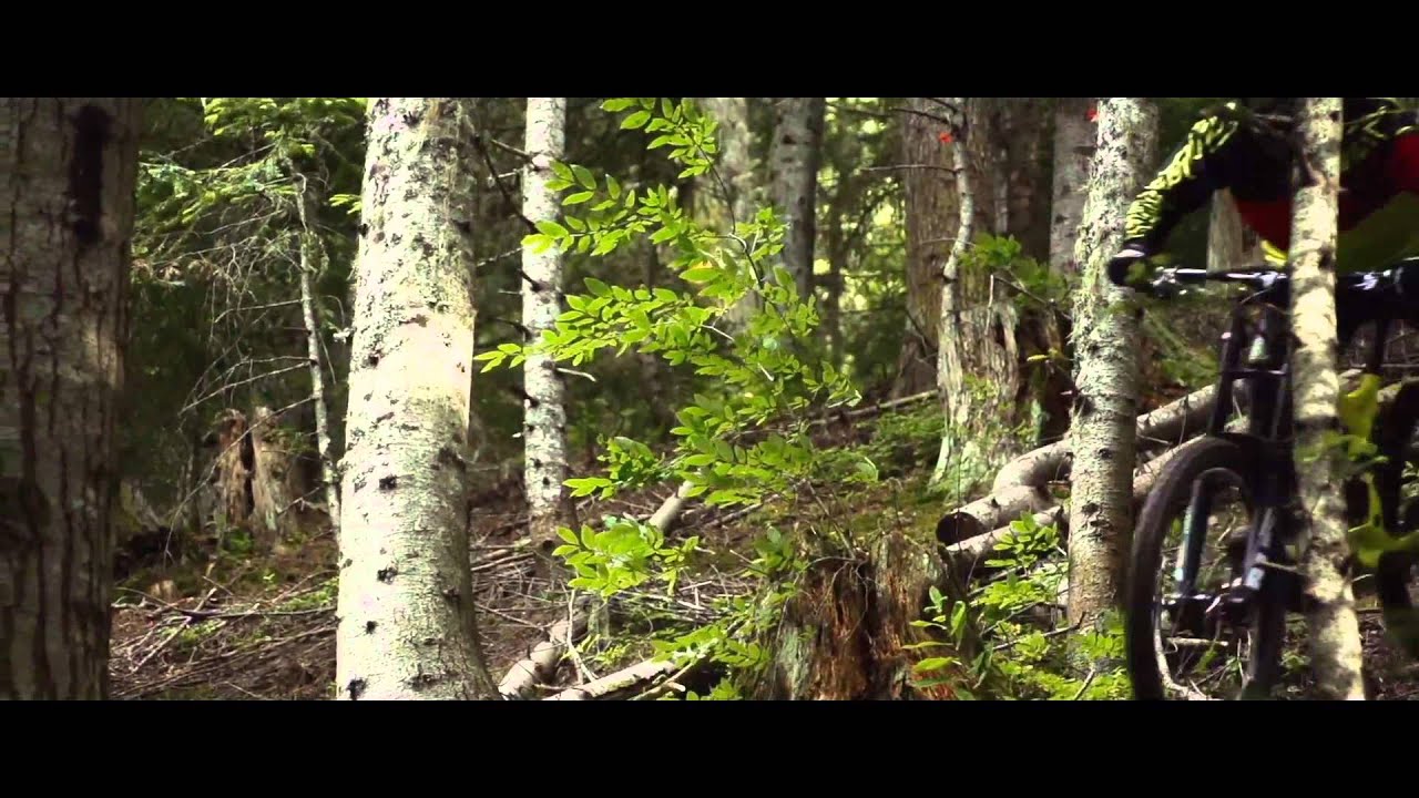 Bike Park des Arcs par Vincent Pernin