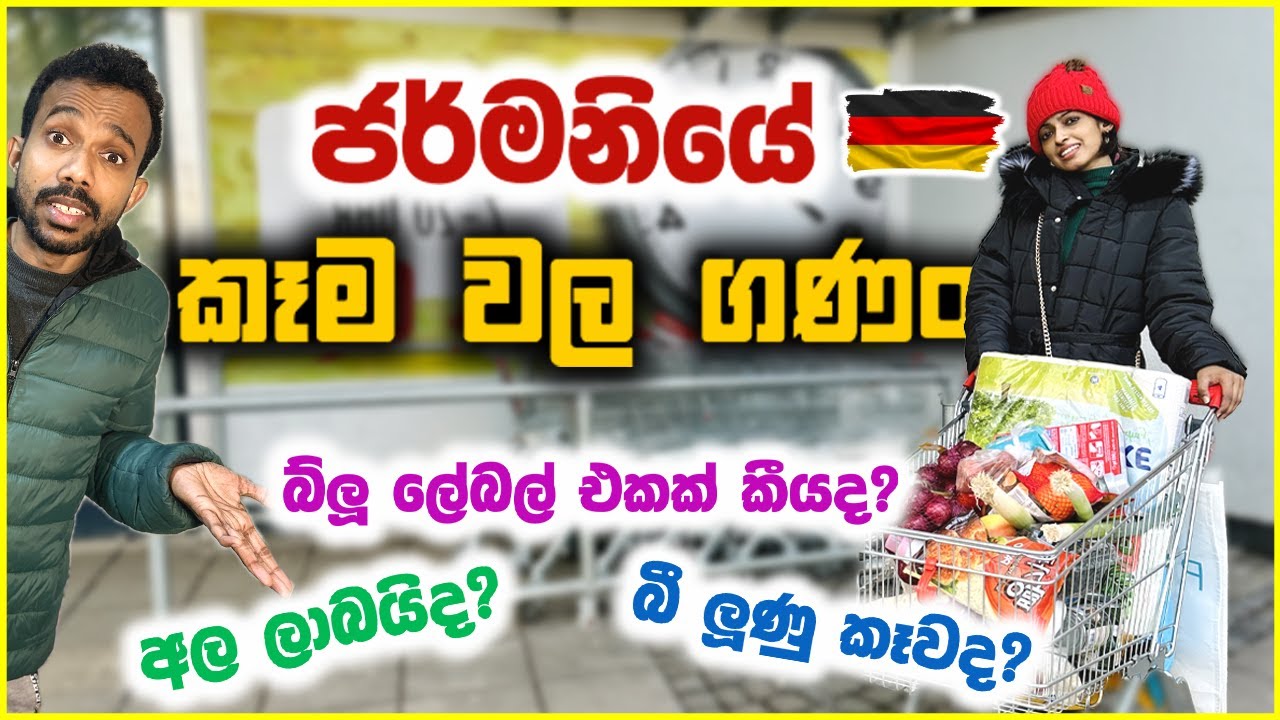 ජර්මනියෙත් බඩු ගණං ගිහින්ද?| Daily Life Vlogs Sinhala Grocery Shopping Video Sinhala Vlogs in Europe