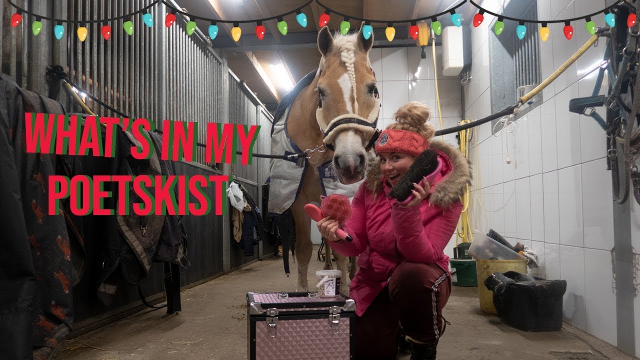 WAT ZIT ER IN ONZE POETSKIST? | Vlogmas | Haflingers King & Beau