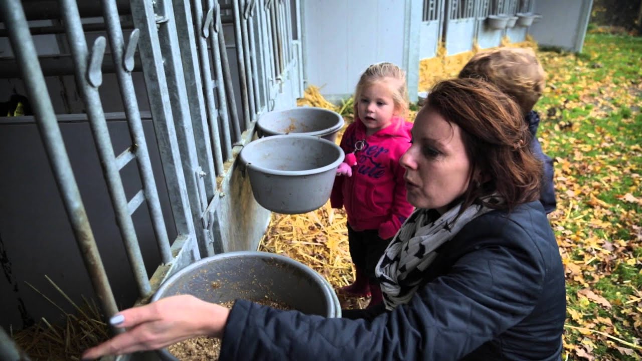 Mukkenstal VOP filmpje 2016