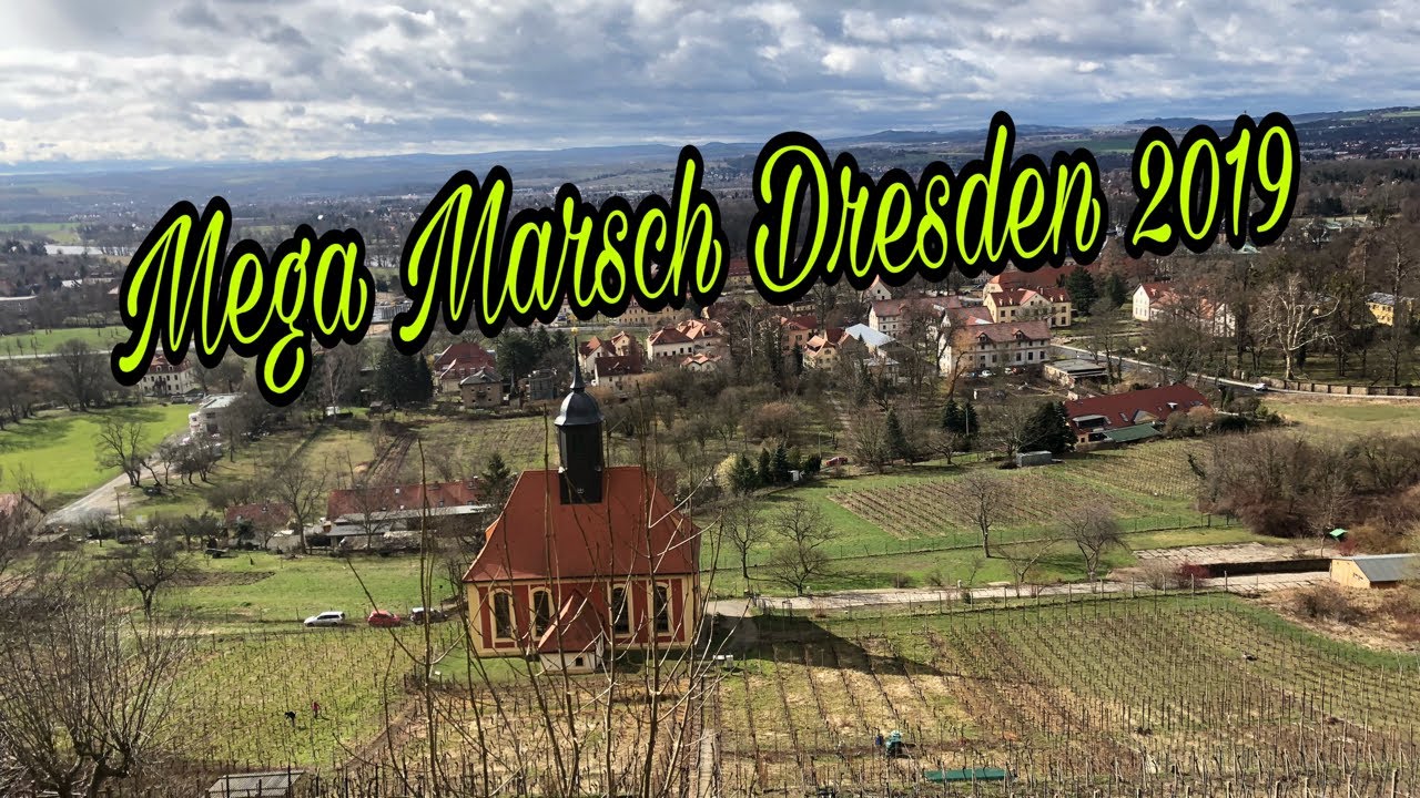 Mega Marsch Dresden 2019 - 50/12