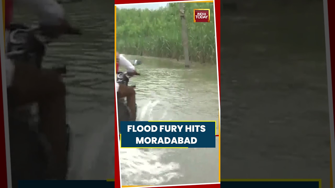 UP Floods: Kosi River Swells, Roads Submerged In Moradabad&rsquo;s Mundha Pande #upnews #moradabad
