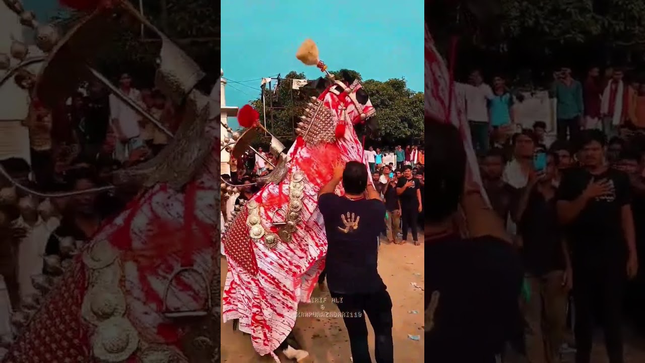 10 Moharram 2025 #Shorts #Moharramviralvideo #shikarpurazadari