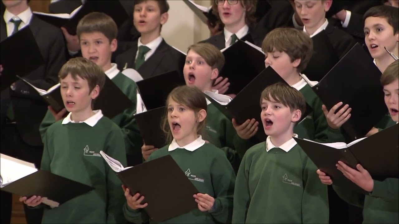 Cantate Domino canticum novum, Alwin Michael Schronen