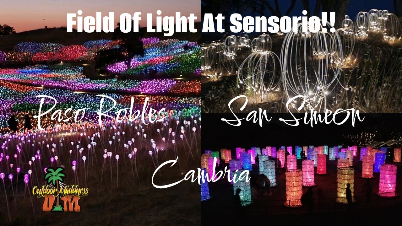 Field Of Light At Sensorio #pasorobles