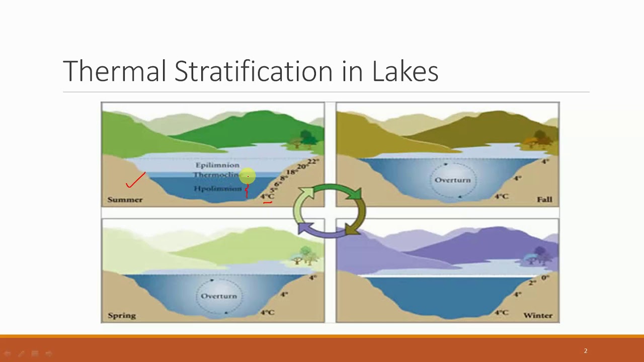 Temperature stratification in lakes