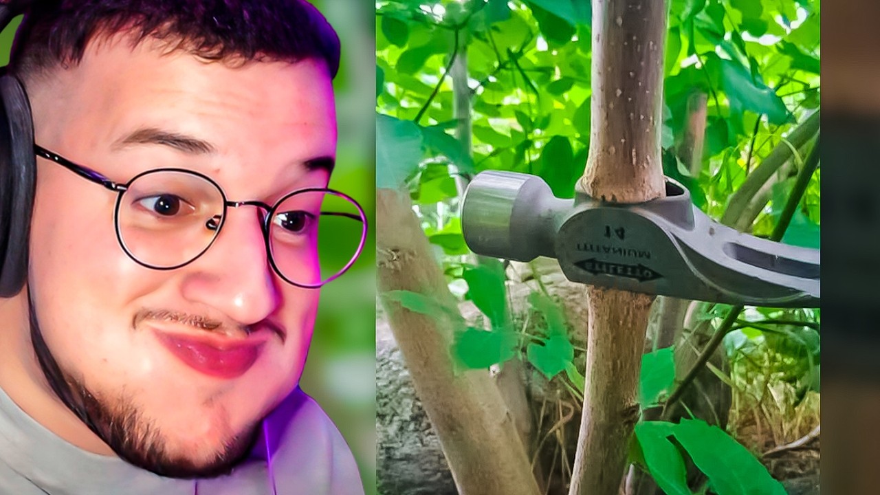 gambiarras que só o brasileiro faria