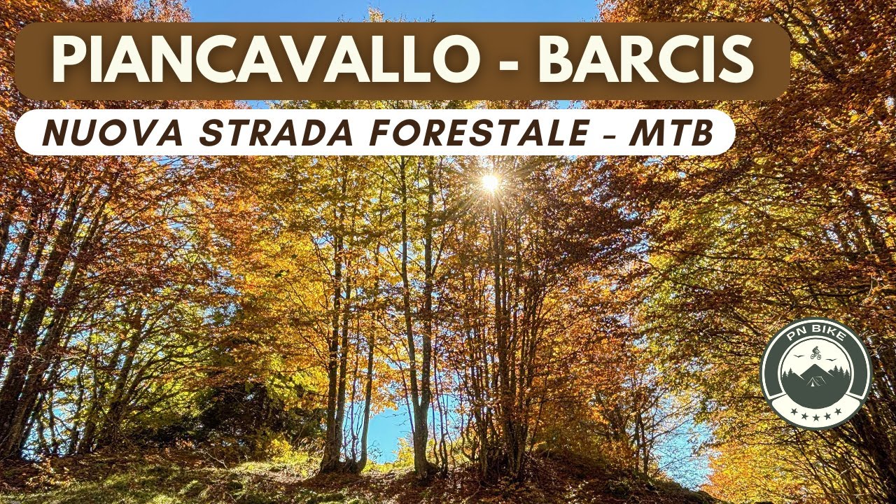 NUOVA STRADA FORESTALE - PIANCAVALLO - BARCIS via sterrato - MTB