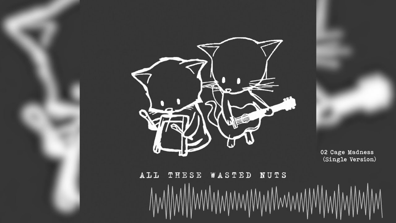 Cage Madness  | folk punk music