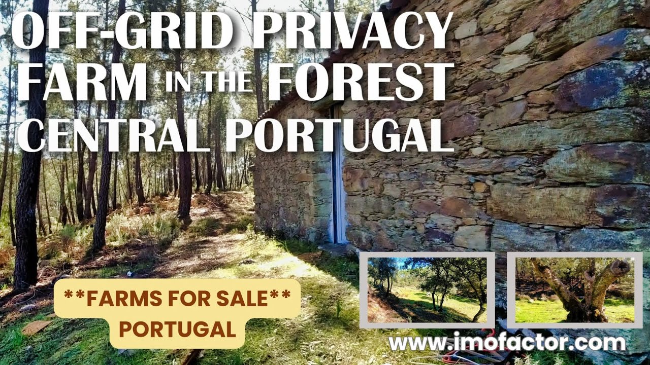 🌄 Off-Grid Privacy - Farm in the Forest | Central Portugal | €48000