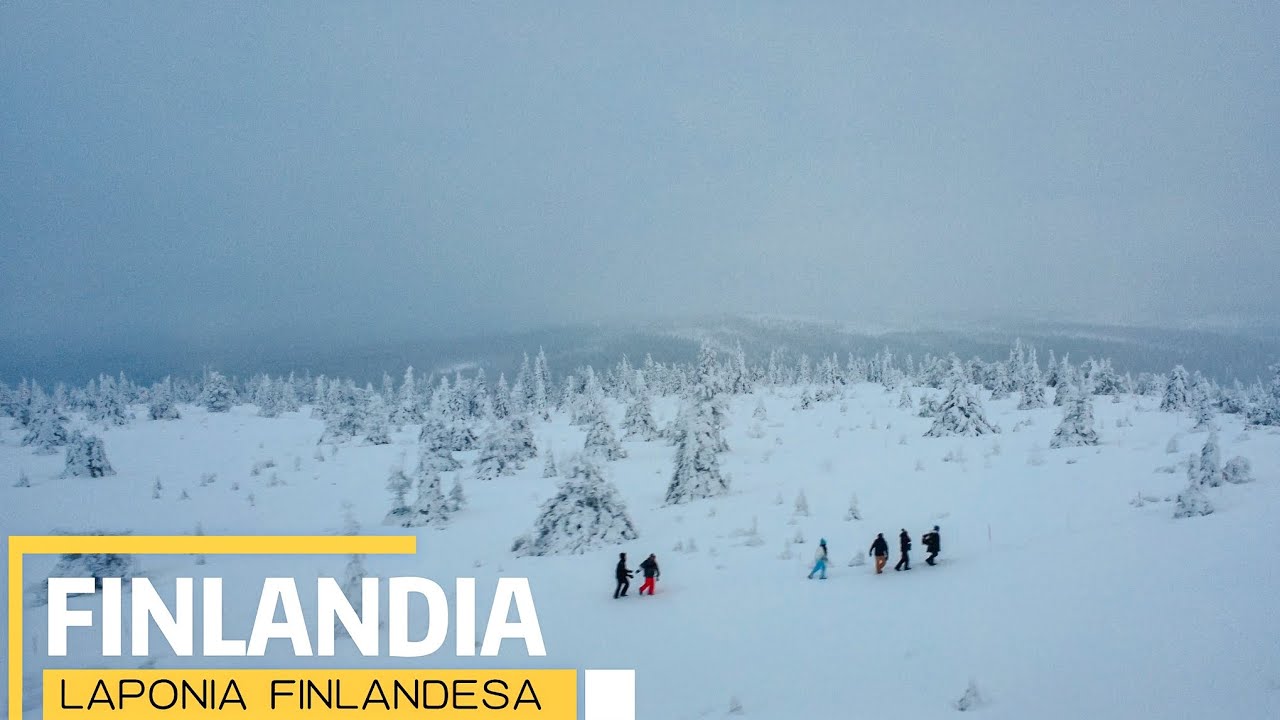 TRINEO, con HUSKYS y CAMINATA a -7°FINLANDIA