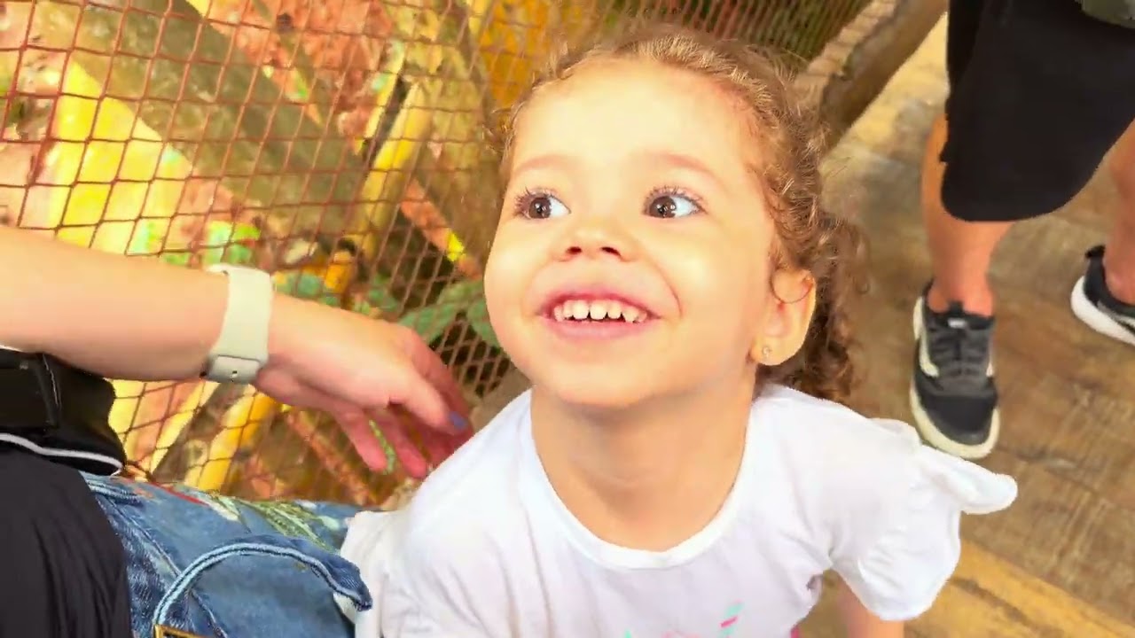 Animália Park com Crianças | Animais, Brincadeiras e Diversão