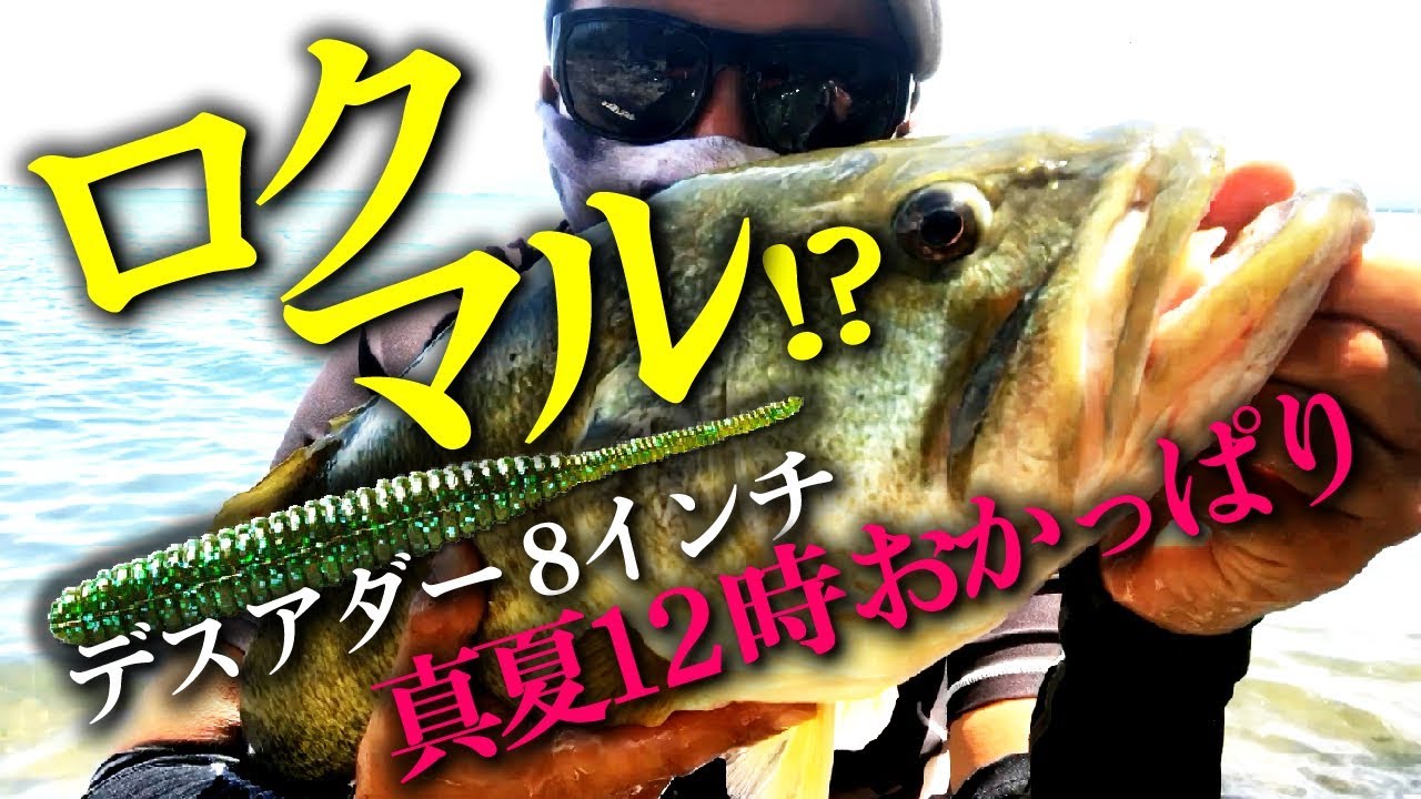 【ロクマル】デスアダー 8インチの使い方 [バス釣り おかっぱり 琵琶湖]