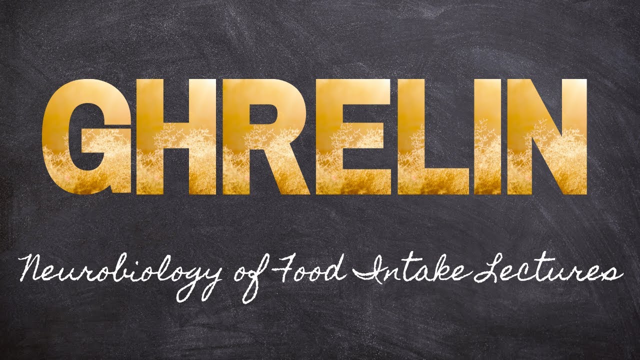 Ghrelin the Hunger Hormone | Part 5 Neurobiology of Food Intake | Macronutrients Lecture 41