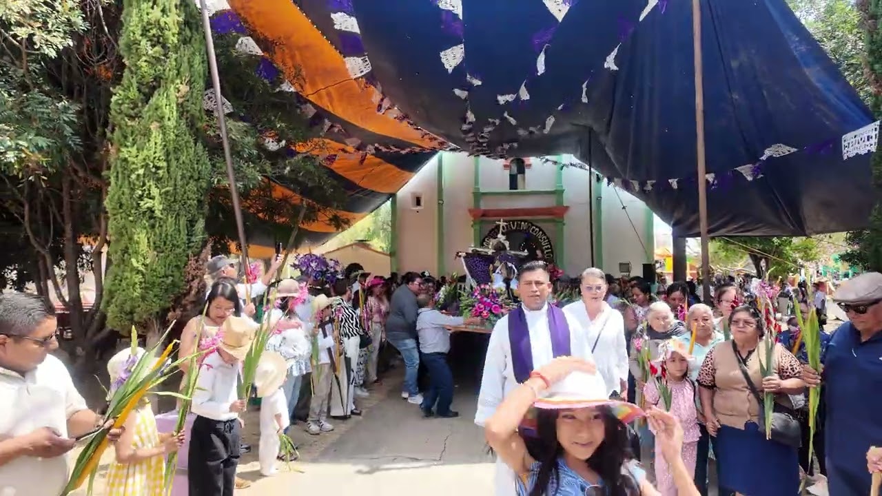 San Miguel Papalutla, Oaxaca. Procesión 2
