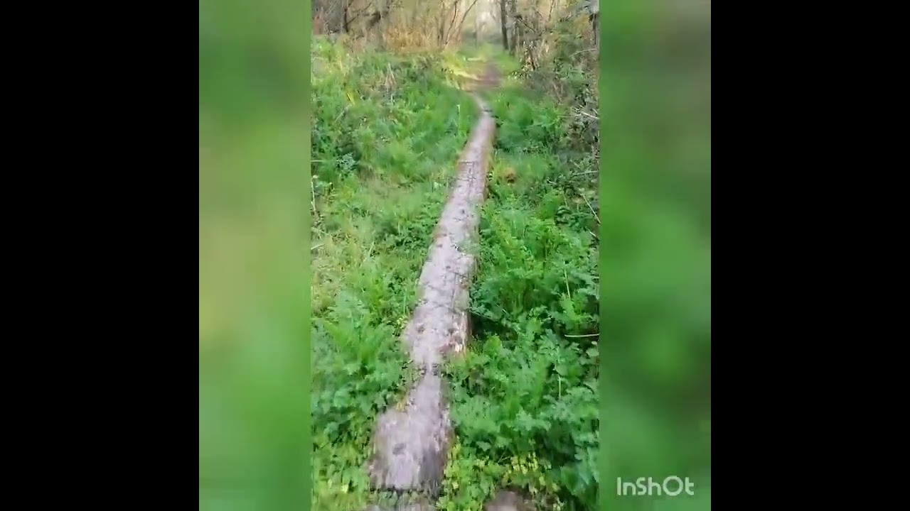 Pembrokeshire Walks - Circular Walk Around Paskeston.