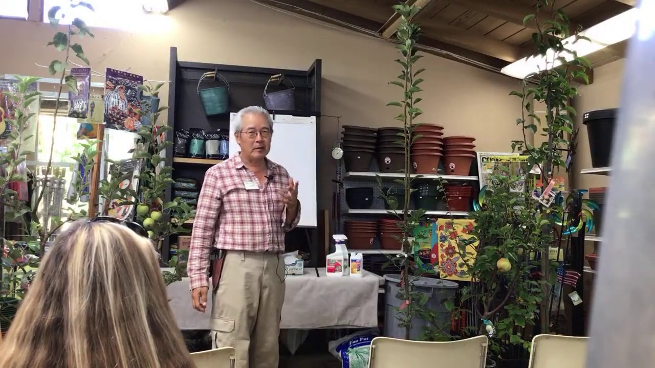 Growing Apples & Pears | LIVESTREAM