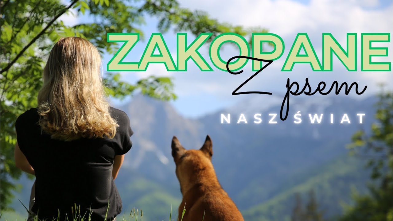 ZAKOPANE Z PSEM
