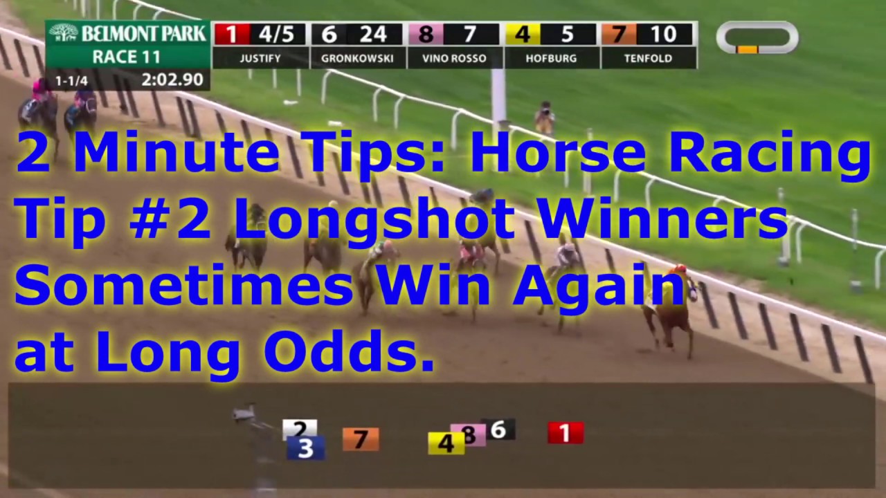 Tip #2 Longshot Winners Sometimes Repeat at Long Odds. 2 Minute Tips: Horse Racing Series.