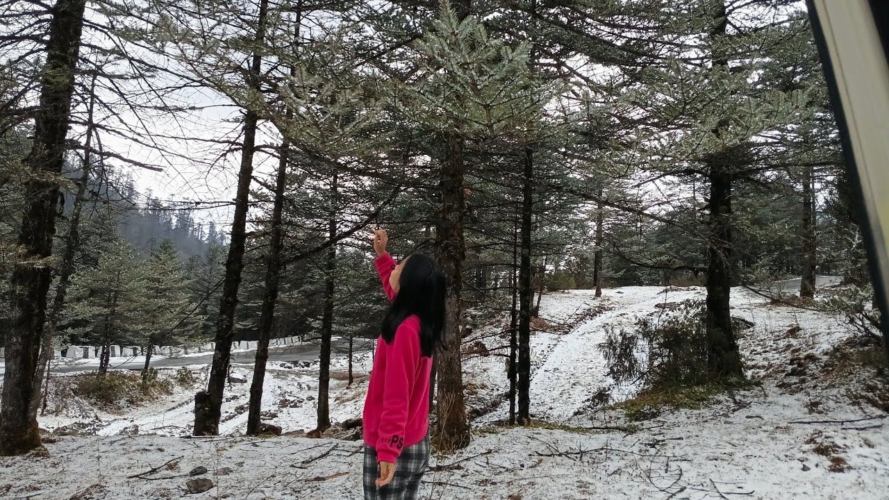 Sikkim diaries 📍☃️🏔