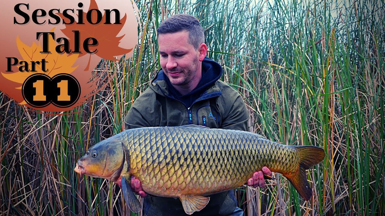 Carp Tales - Hurra, Hurra der Herbst ist da! 🎣🍁🐳 | Session Tale #11