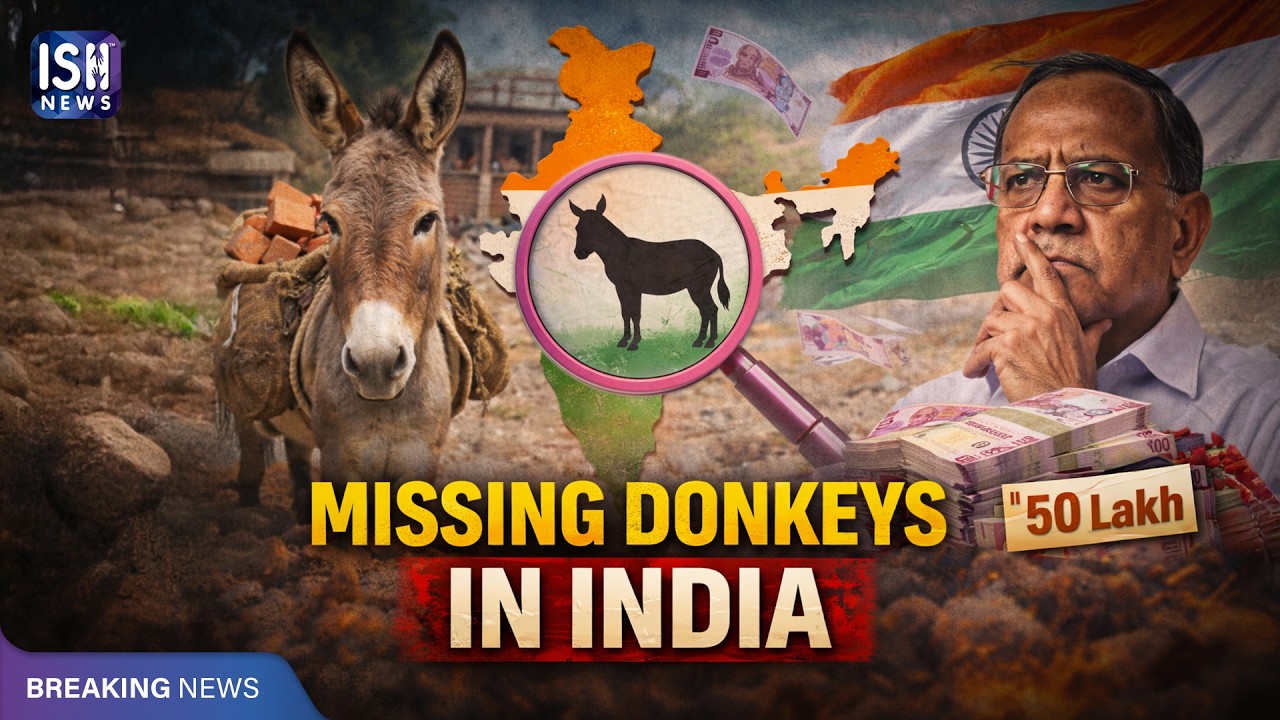 Become a Donkey Farmer: Get ₹50 Lakh Subsidy from Government | ISH News