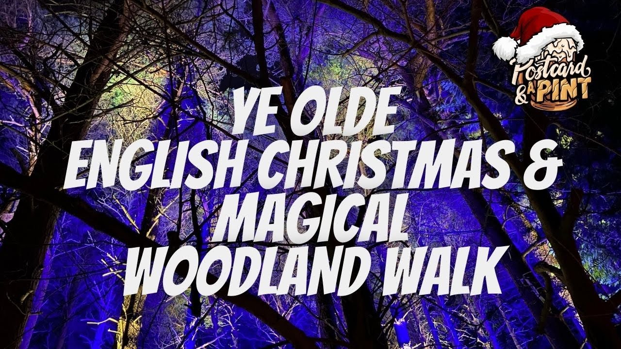 Magical Christmas Woodland Walk - Traditional Christmas And Delamere Forest Walk